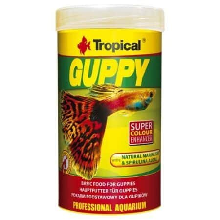 guppy food