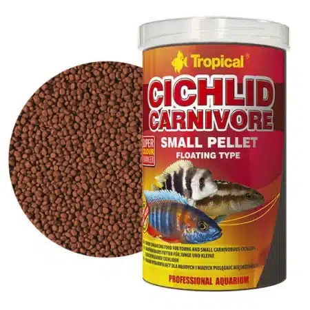 tropical cichlid carnivore D NQ NP 741830 MPE29095030905 012019 F