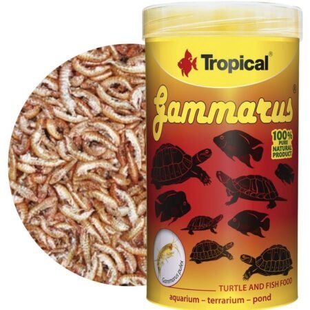 tropical gammarus pokarm dla zolwi wodnych ladowych i duzych gatunkow ryb
