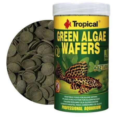 tropical green algae wafers roslinne wafelki dla glonojadow