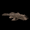 Green Dragon BN