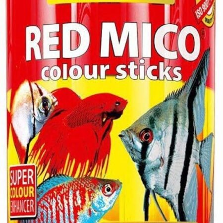 Tropical Red Mico