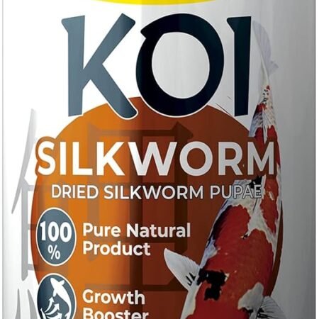 Tropical Koi Silkworm Dried Pupae