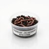 Lumbricus Terrestris Earthworm - 10pcs 1 Lumbricus Terrestris Earthworm 10pcs