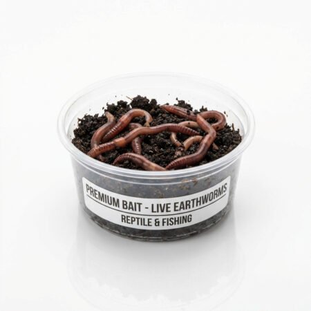 Lumbricus Terrestris Earthworm 10pcs