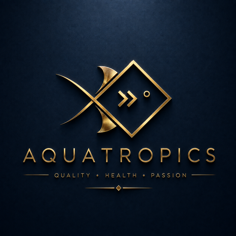 Aquatropics